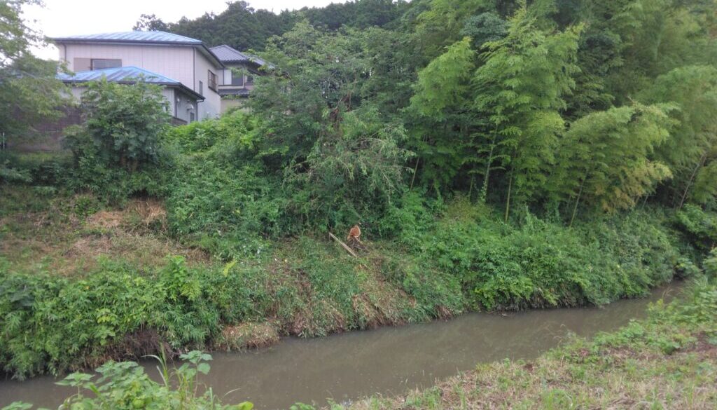 撤去5
